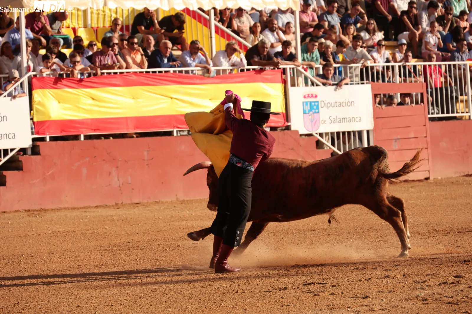 FOTOS: David Sañudo 