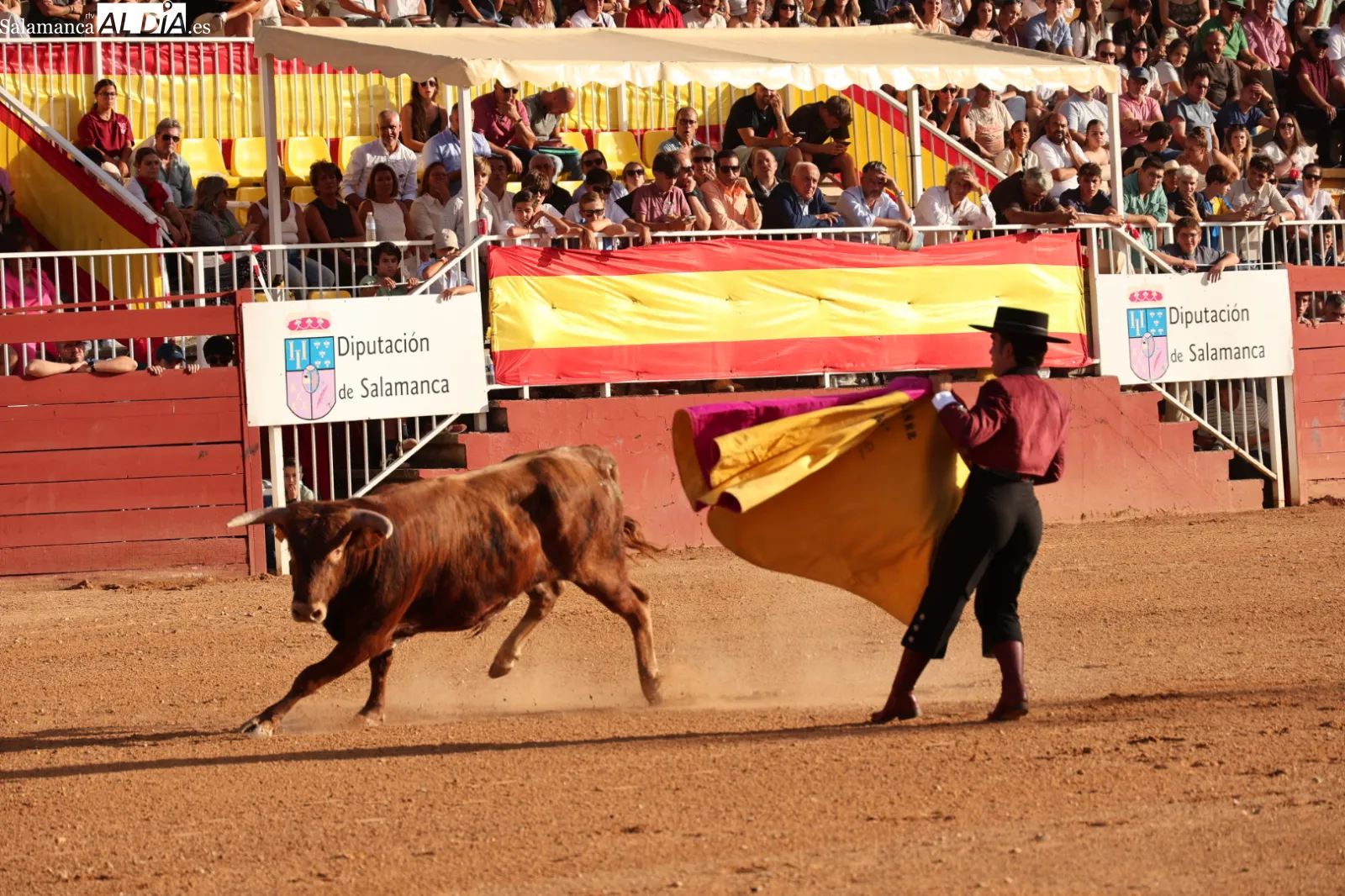 FOTOS: David Sañudo 