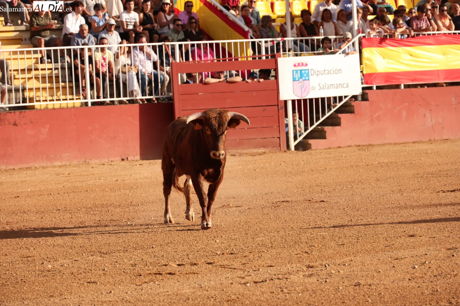 FOTOS: David Sañudo 