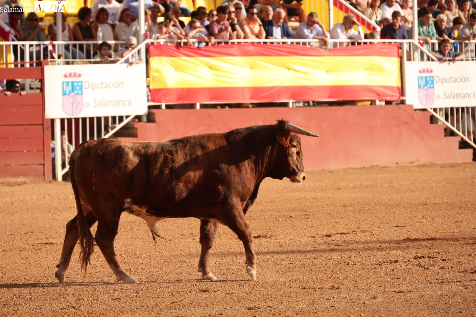 FOTOS: David Sañudo 