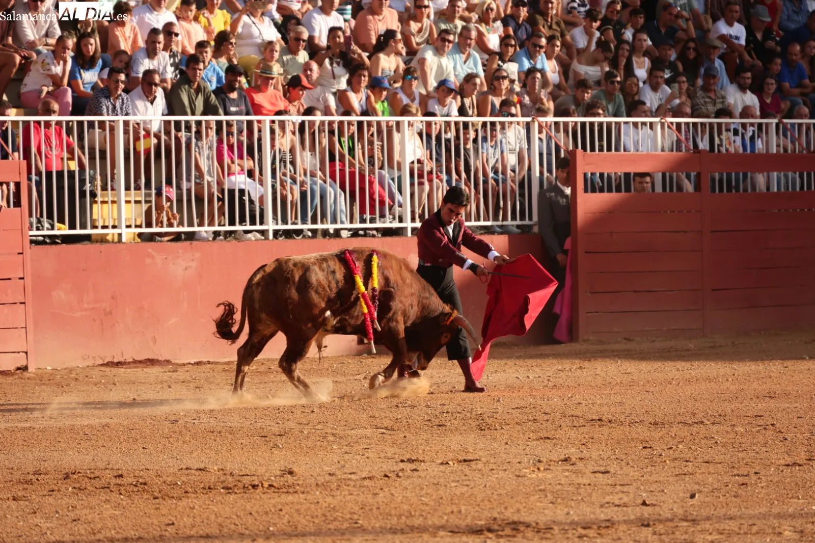 FOTOS: David Sañudo 