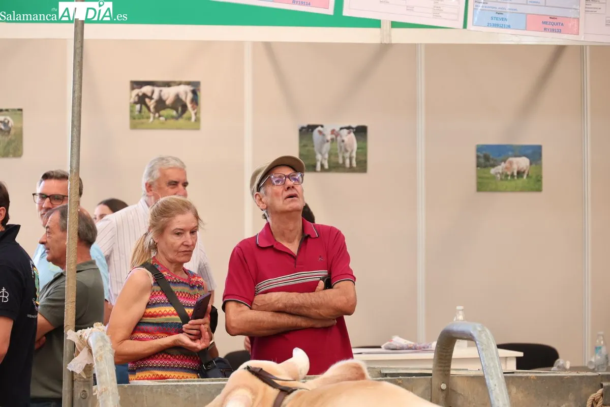 Así ha sido la primera mañana de Salamaq: ambiente, campo y tradición en el recinto ferial | FOTOS: David Sañudo 
