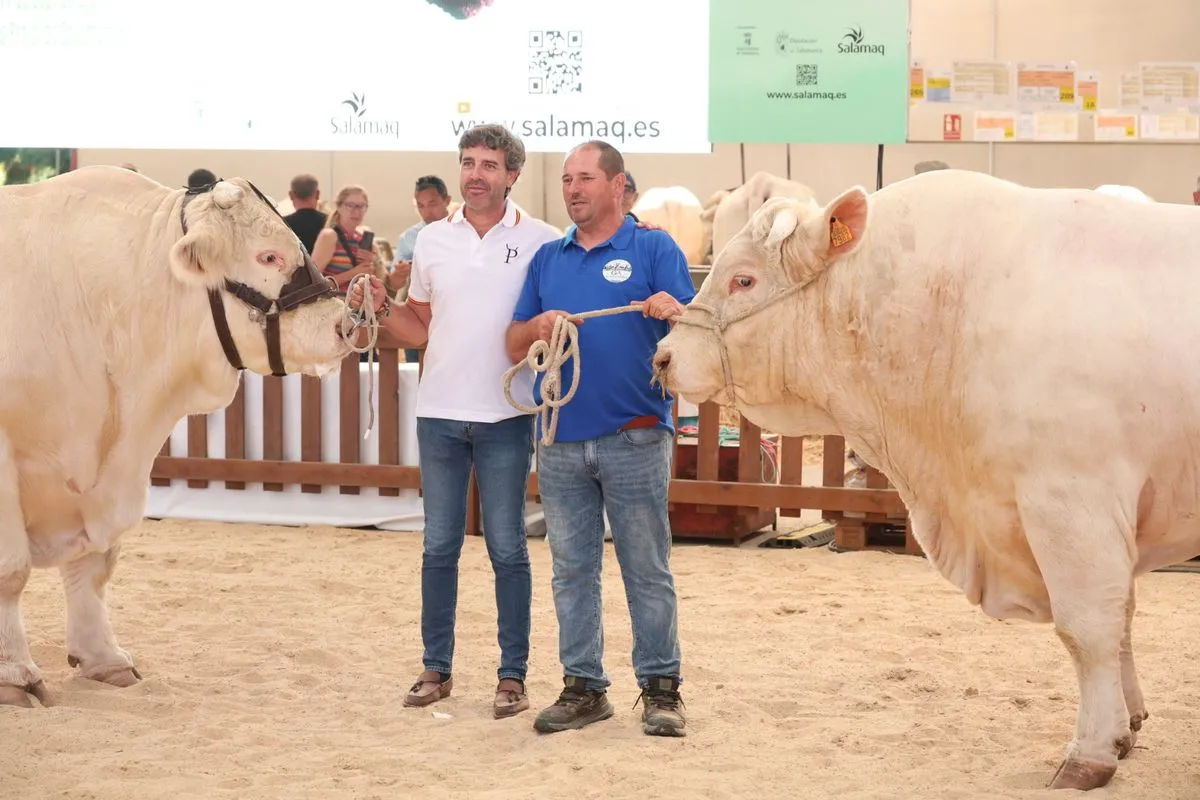 Así ha sido la primera mañana de Salamaq: ambiente, campo y tradición en el recinto ferial | FOTOS: David Sañudo 