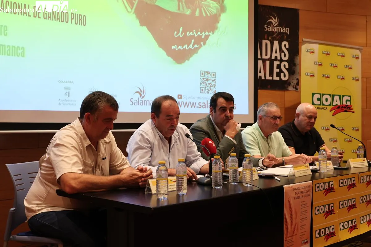 La asfixia del cereal en Castilla y León: COAG advierte de la ruina de los agricultores | Fotos: David Sañudo