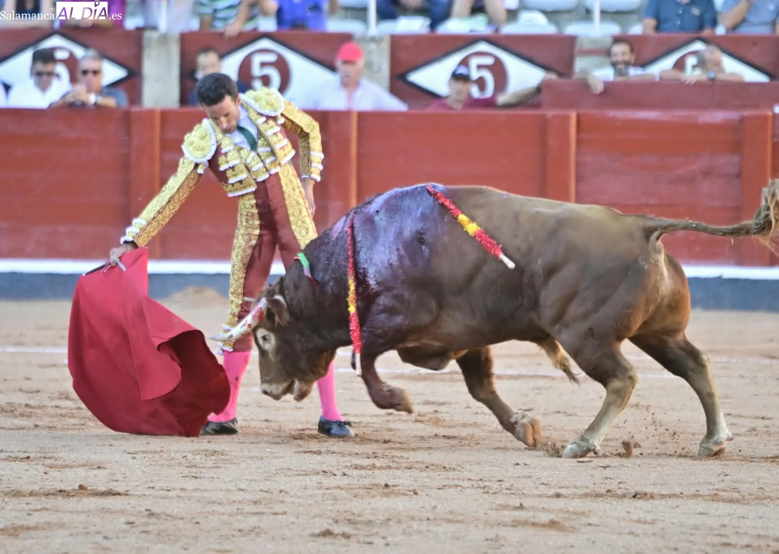 Foto 16 - Palmas por Huelva 