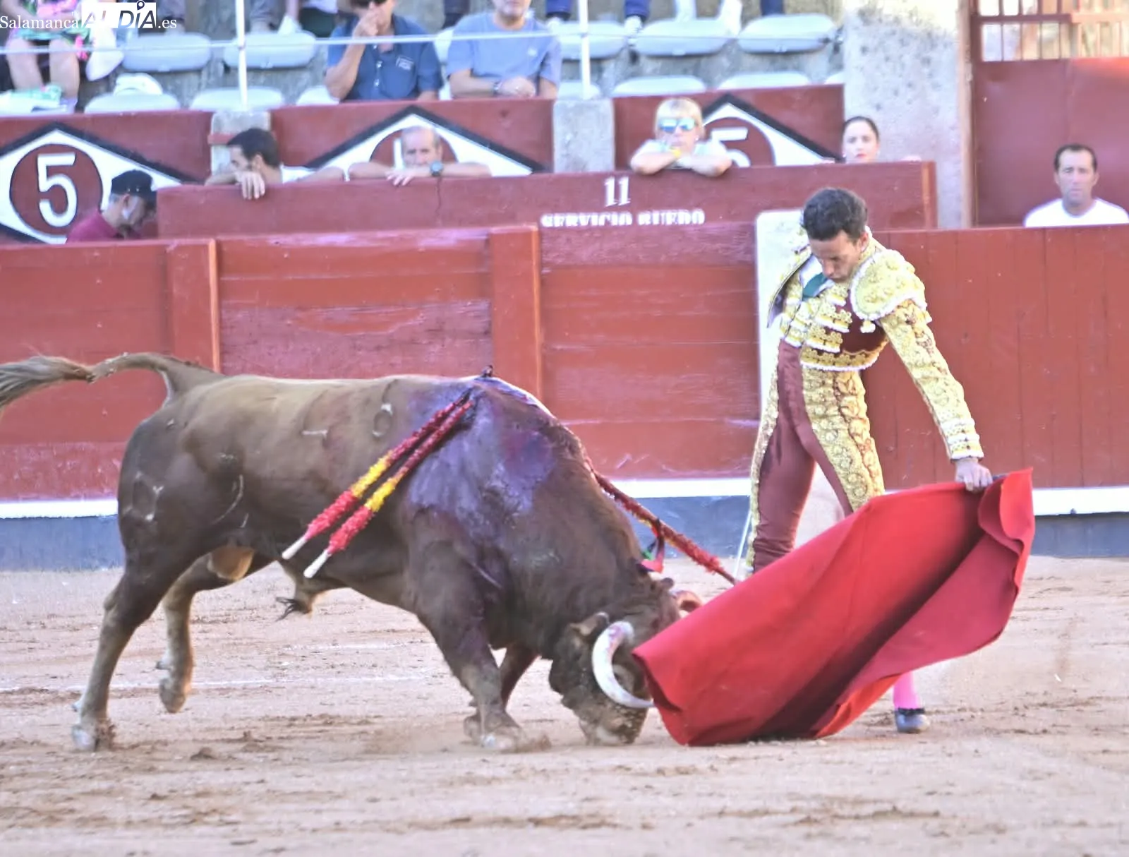 Foto 17 - Palmas por Huelva 