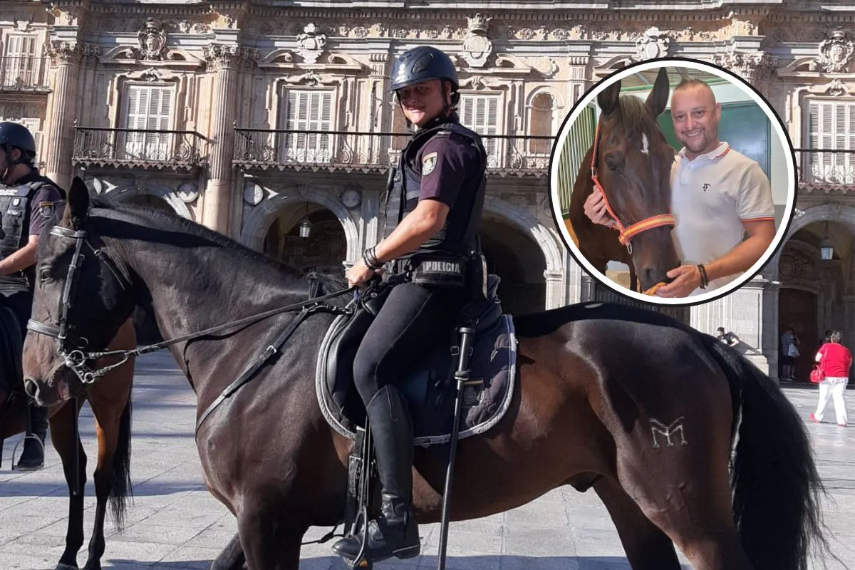 Salamaq: Emotivo reencuentro de un policía y su caballo
