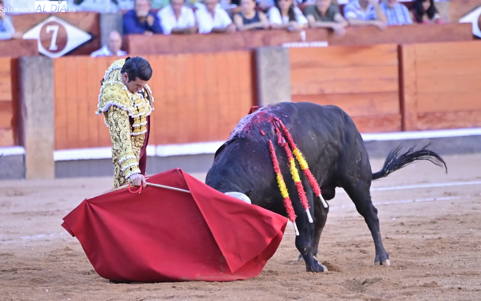 Foto 13 - Palmas por Huelva 