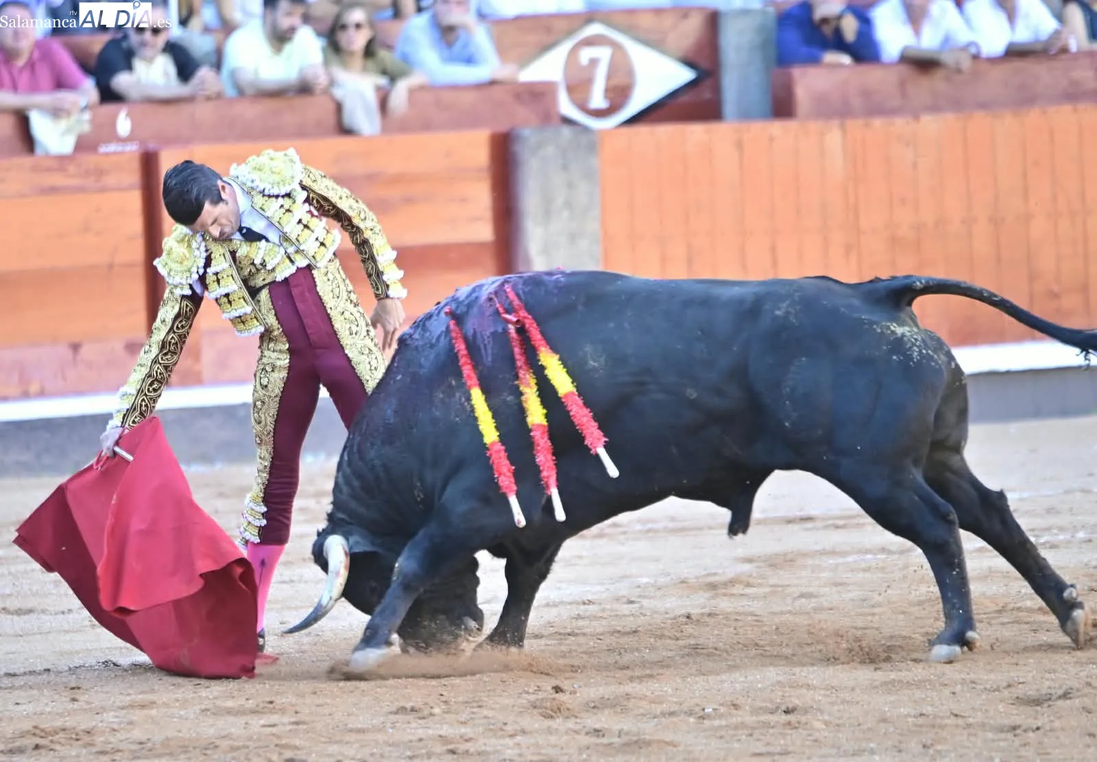 Foto 15 - Palmas por Huelva 