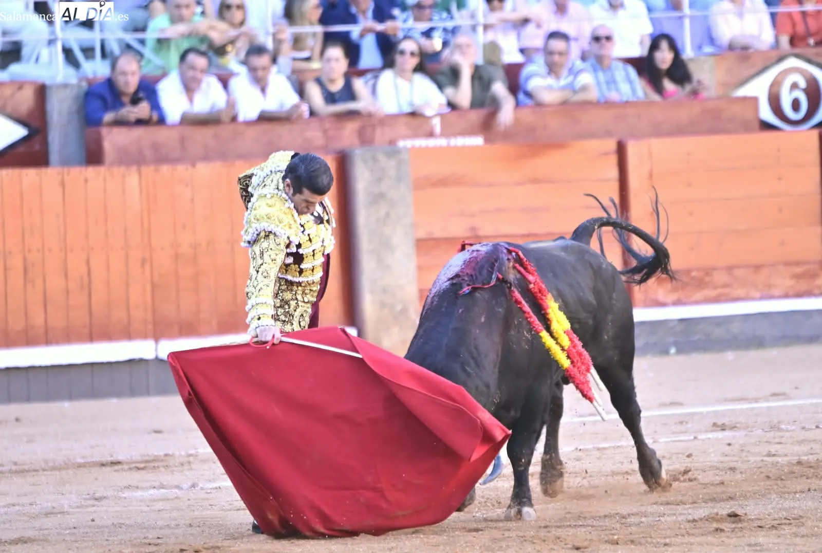 Foto 16 - Palmas por Huelva 