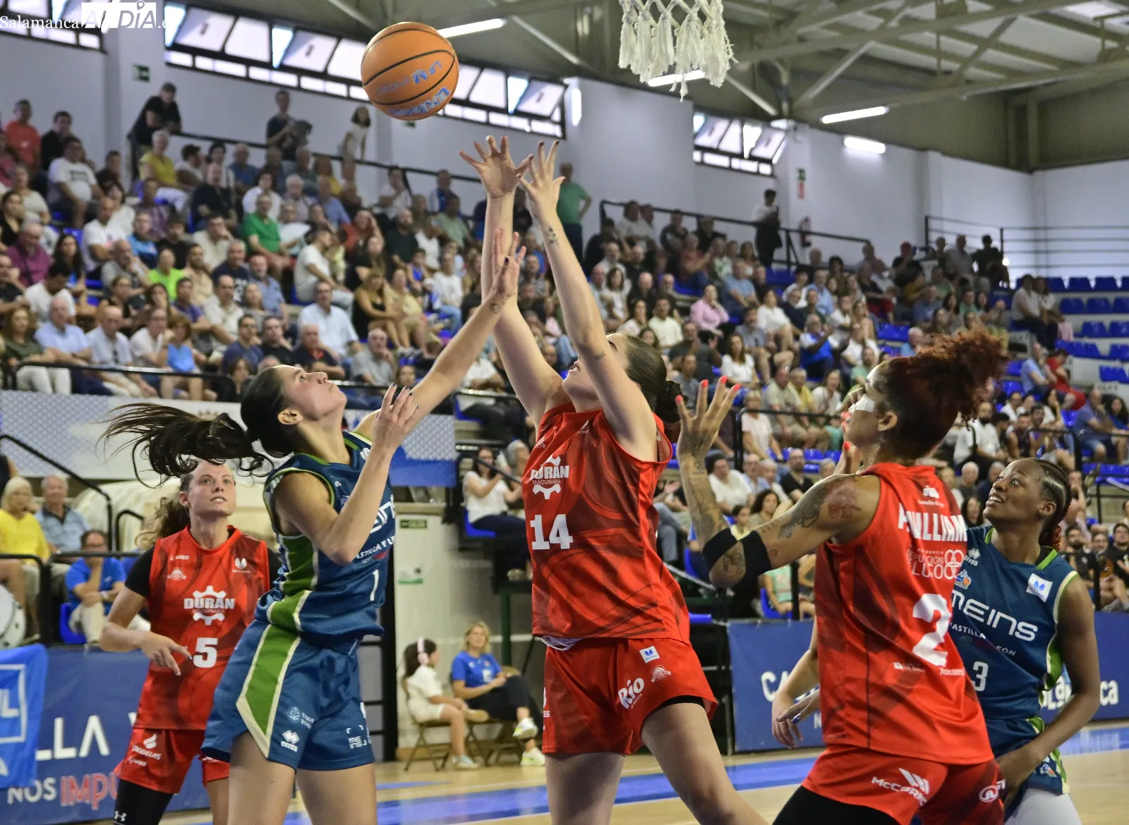 Foto 17 - FOTOS | El Meins Avenida convence en su regreso a W&uuml;rzburg ante el Ensino Lugo (80-69)