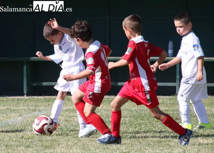 Foto 3 - La cantera del Alba de Tormes CF arranca la liga con una intensa jornada de f&uacute;tbol