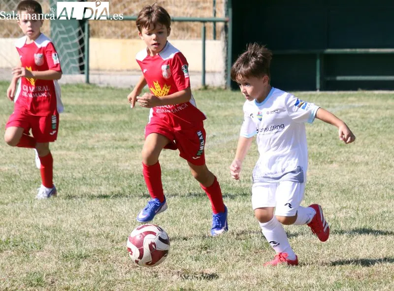 Foto 6 - La cantera del Alba de Tormes CF arranca la liga con una intensa jornada de f&uacute;tbol
