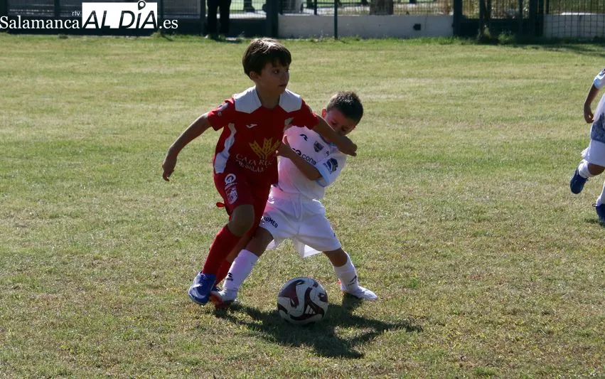 Foto 7 - La cantera del Alba de Tormes CF arranca la liga con una intensa jornada de f&uacute;tbol