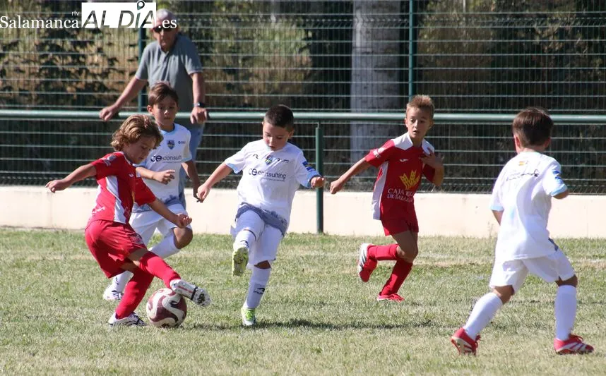 Foto 9 - La cantera del Alba de Tormes CF arranca la liga con una intensa jornada de f&uacute;tbol