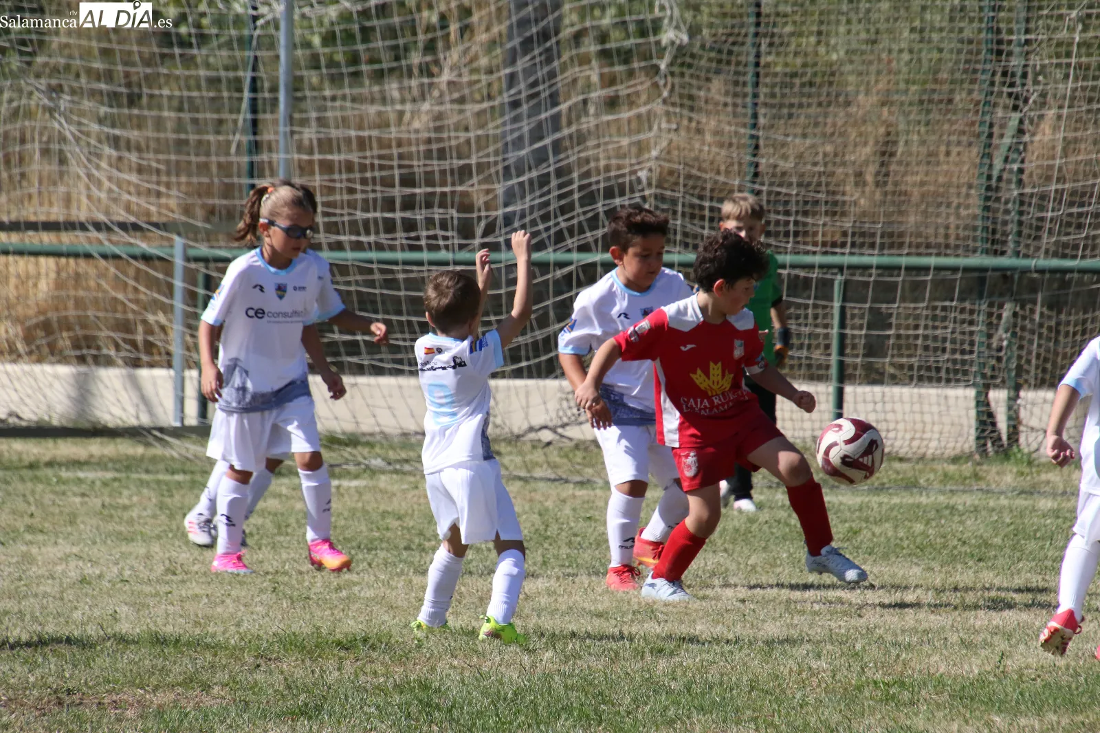 Foto 10 - La cantera del Alba de Tormes CF arranca la liga con una intensa jornada de f&uacute;tbol