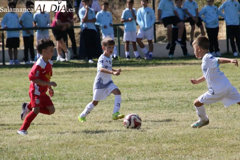 Foto 13 - La cantera del Alba de Tormes CF arranca la liga con una intensa jornada de f&uacute;tbol