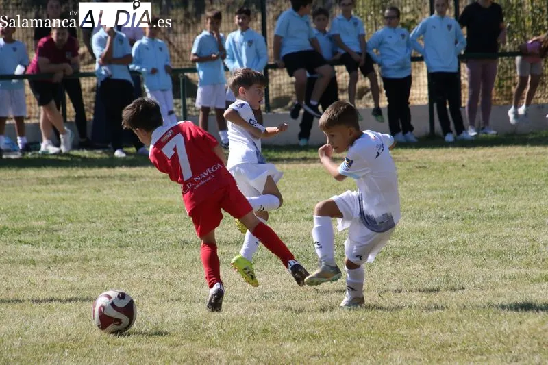 Foto 14 - La cantera del Alba de Tormes CF arranca la liga con una intensa jornada de f&uacute;tbol