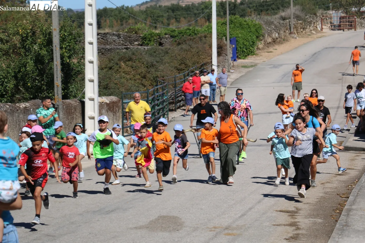 Bonito encierro de Hnos. Sánchez Gil en Barruecopardo / CORRAL 