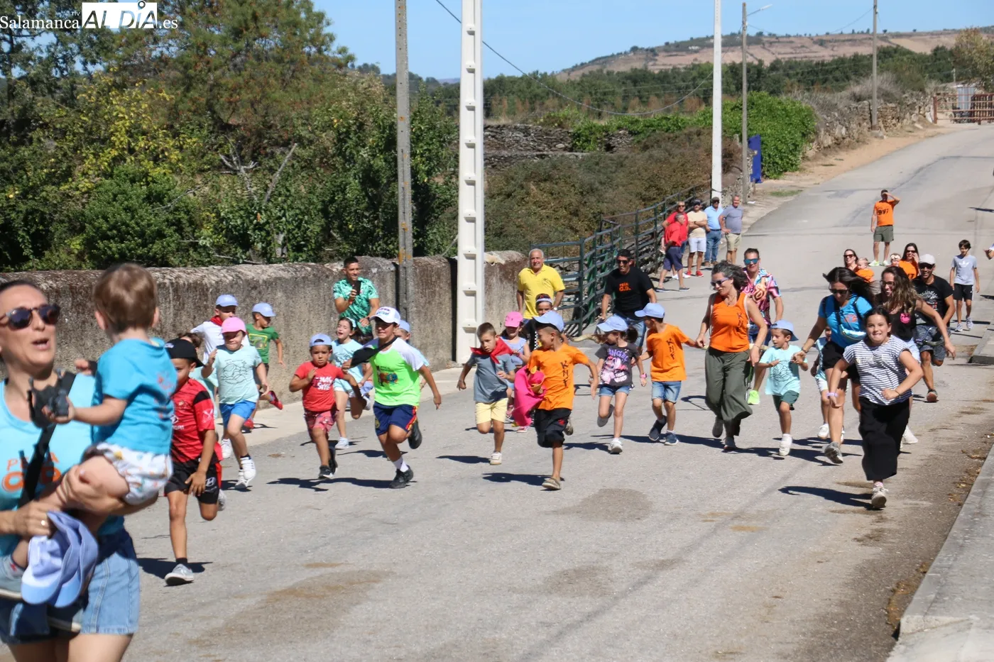 Bonito encierro de Hnos. Sánchez Gil en Barruecopardo / CORRAL 