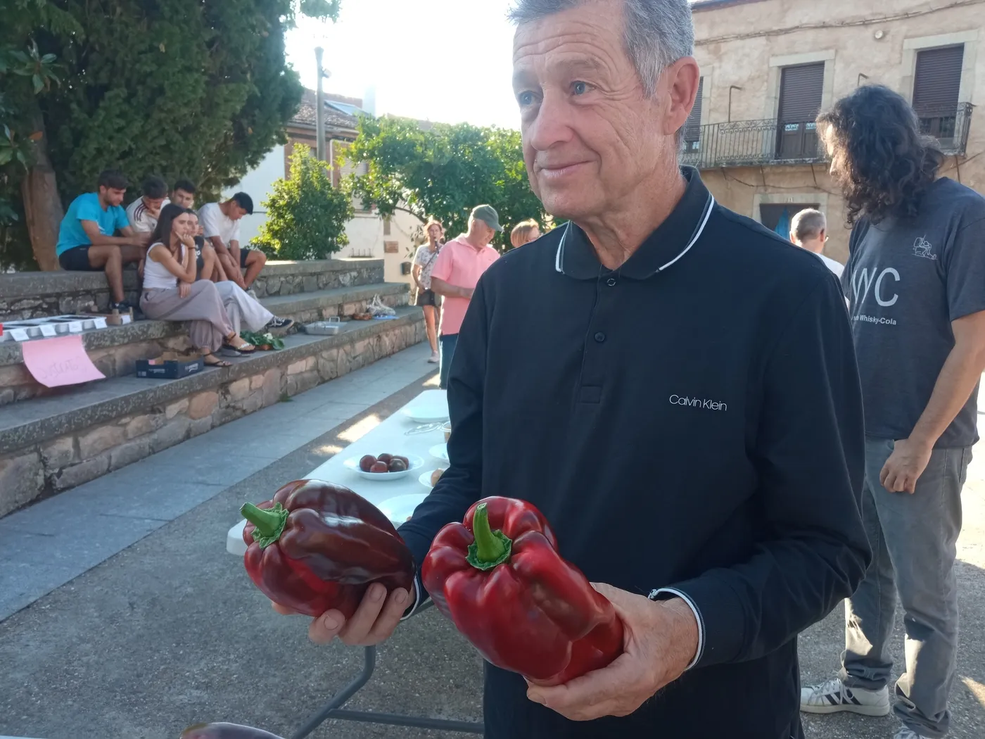 VI Fiesta de la Cosecha en Monelras