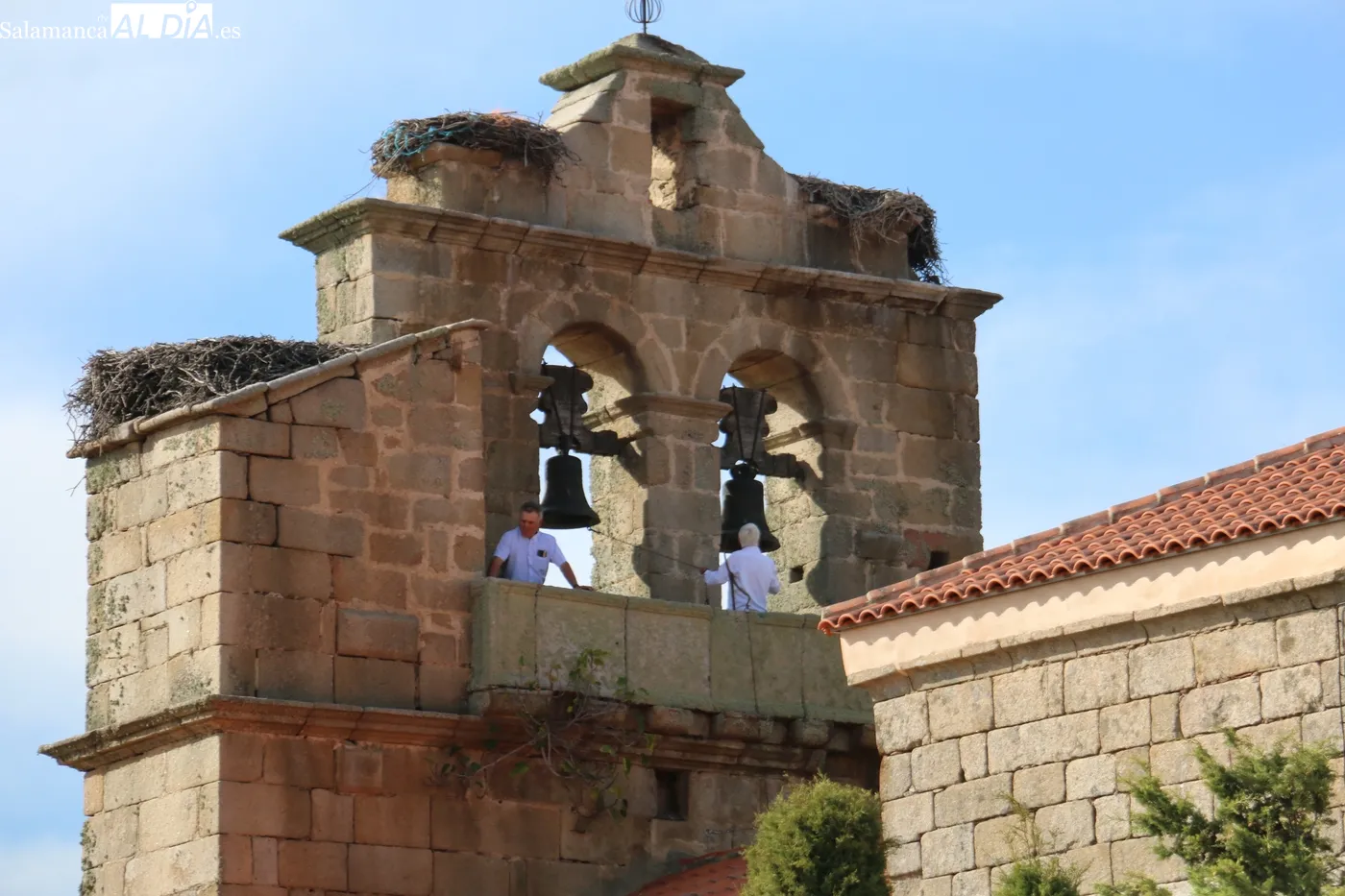 Fiesta de las madrinas en Sardón de los Frailes / CORRAL