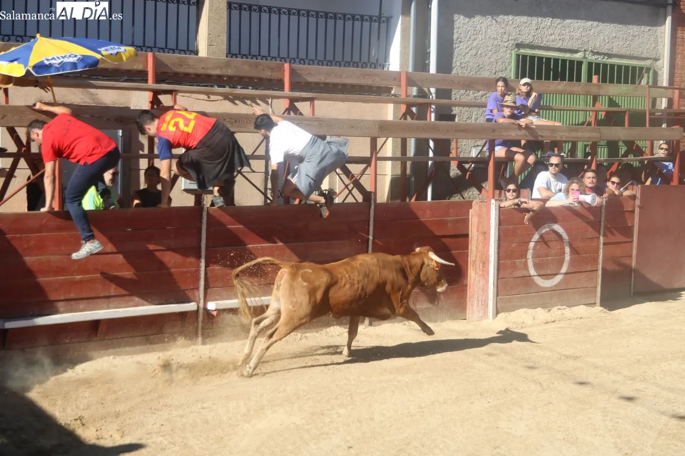Capea popular de las fiestas de Mieza / ARIAS