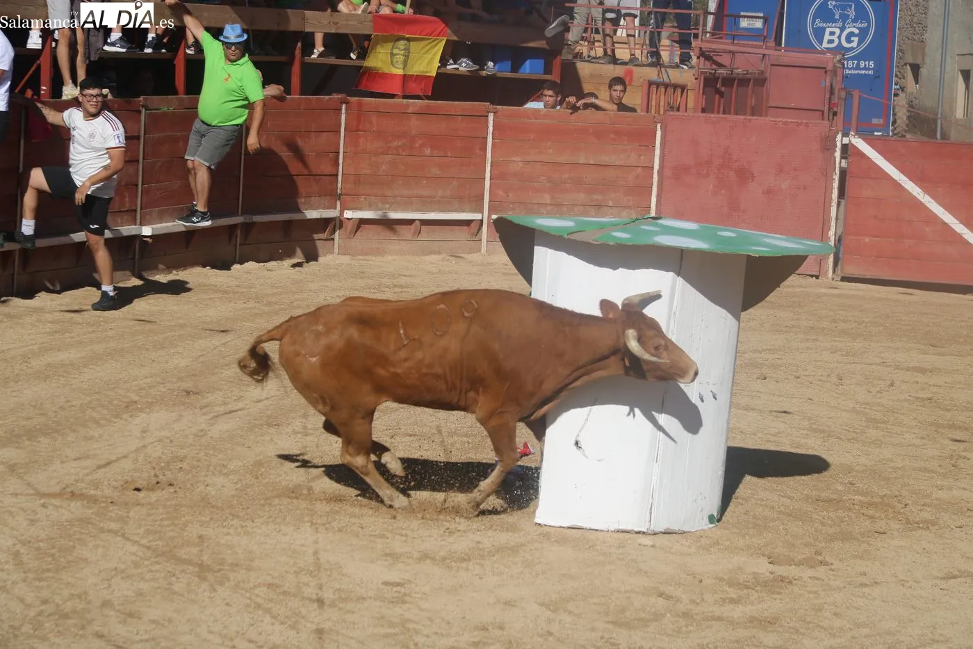 Capea popular de las fiestas de Mieza / ARIAS