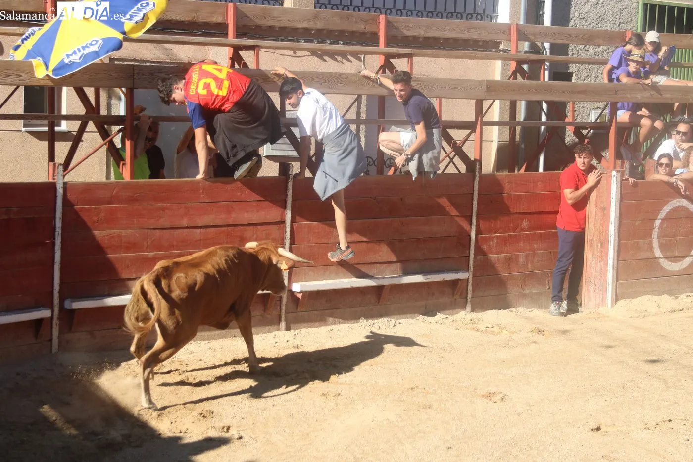 Capea popular de las fiestas de Mieza / ARIAS