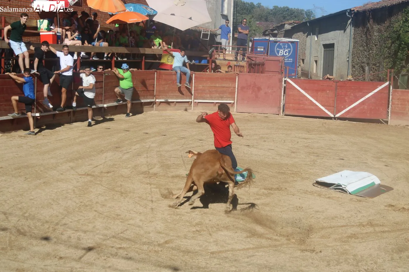 Capea popular de las fiestas de Mieza / ARIAS