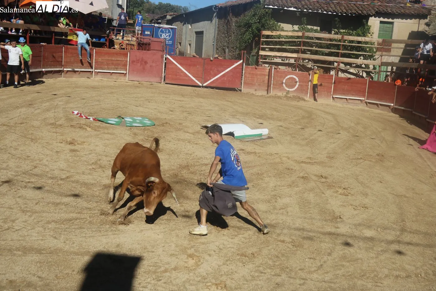 Capea popular de las fiestas de Mieza / ARIAS