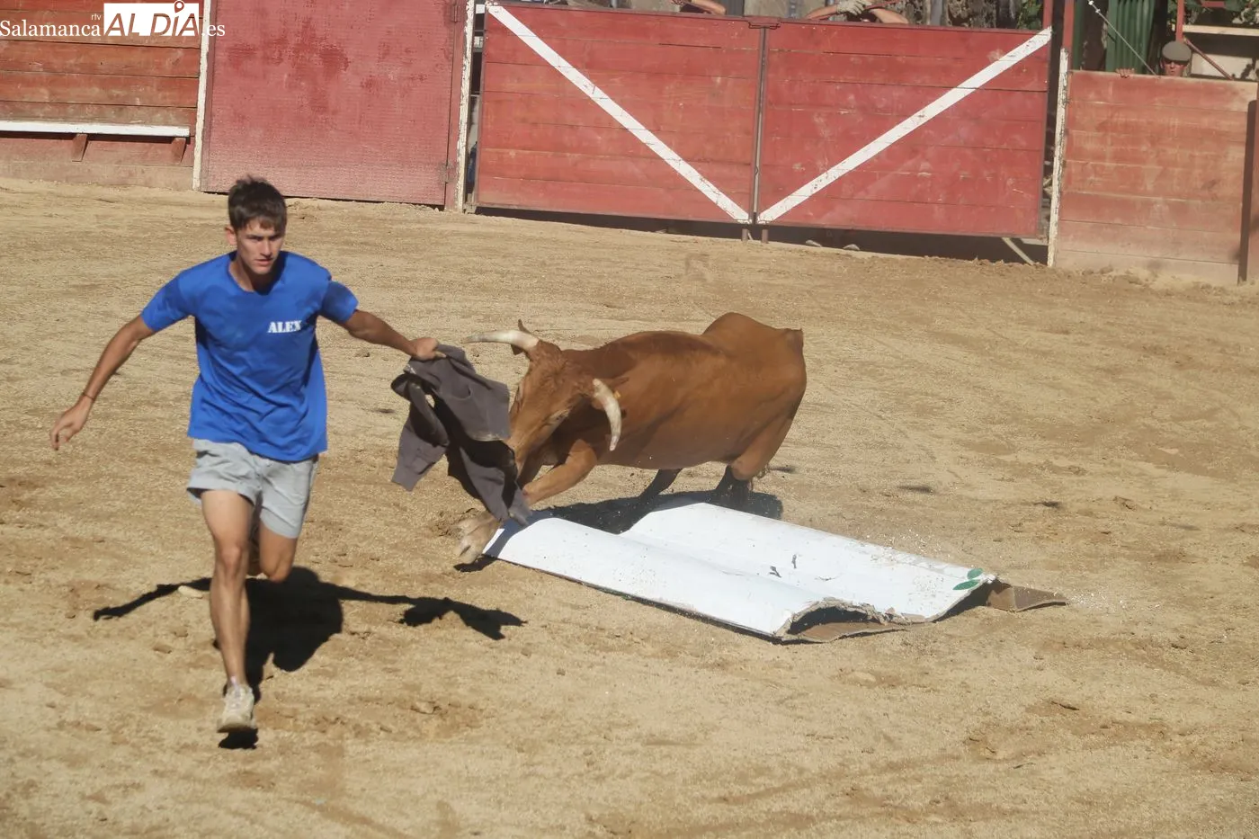 Capea popular de las fiestas de Mieza / ARIAS