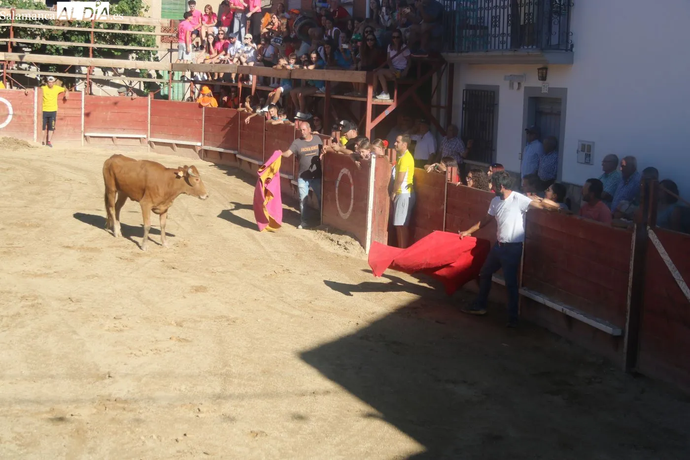 Mieza disfruta de una animada capea en la penúltima jornada de sus fiestas