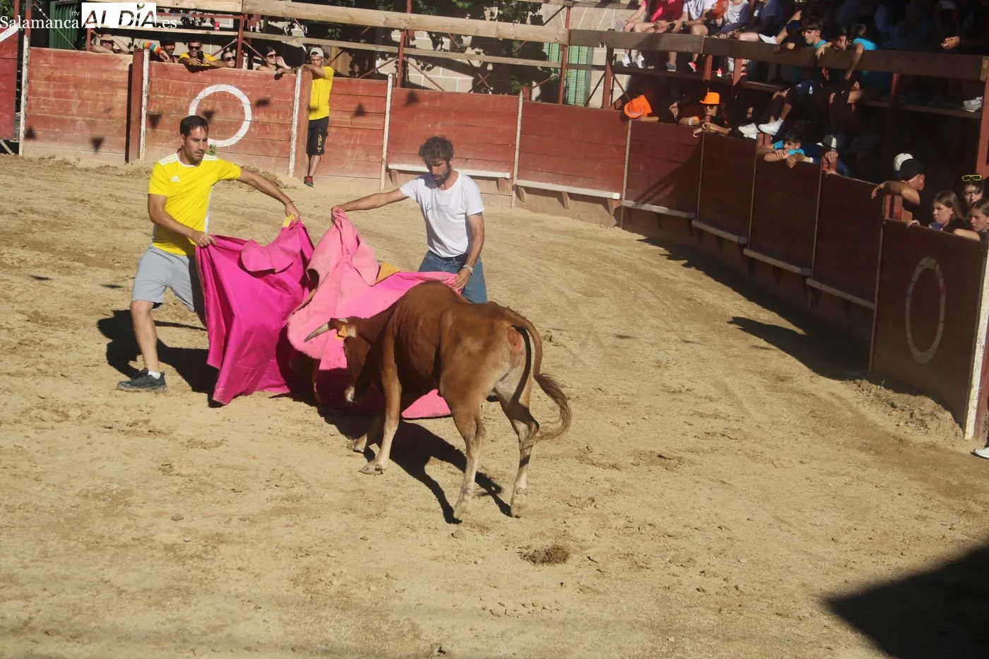 Capea popular de las fiestas de Mieza / ARIAS