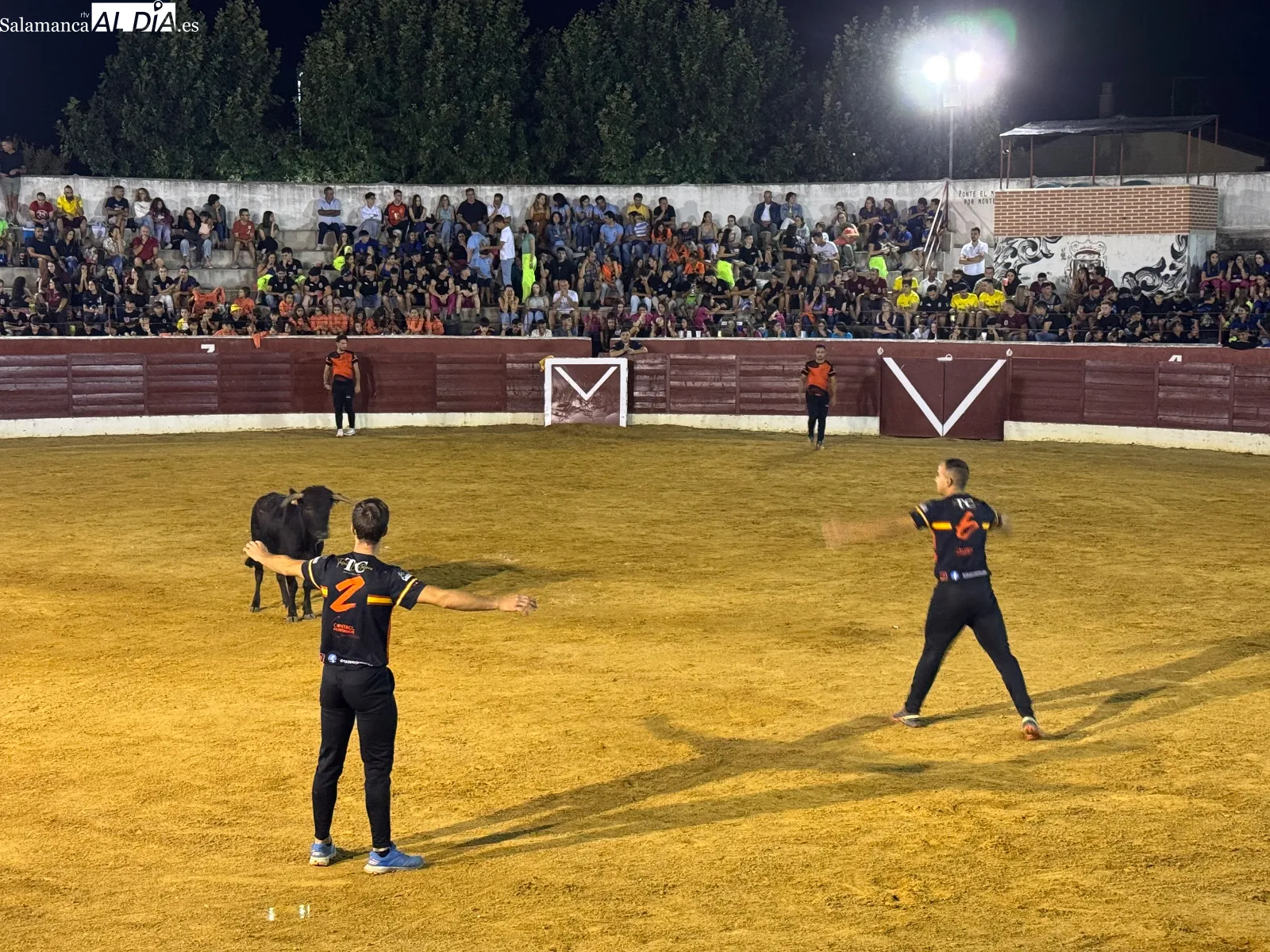 Foto 11 - Villoria inaugura sus fiestas con cortes, quiebros, saltos y una animada capea