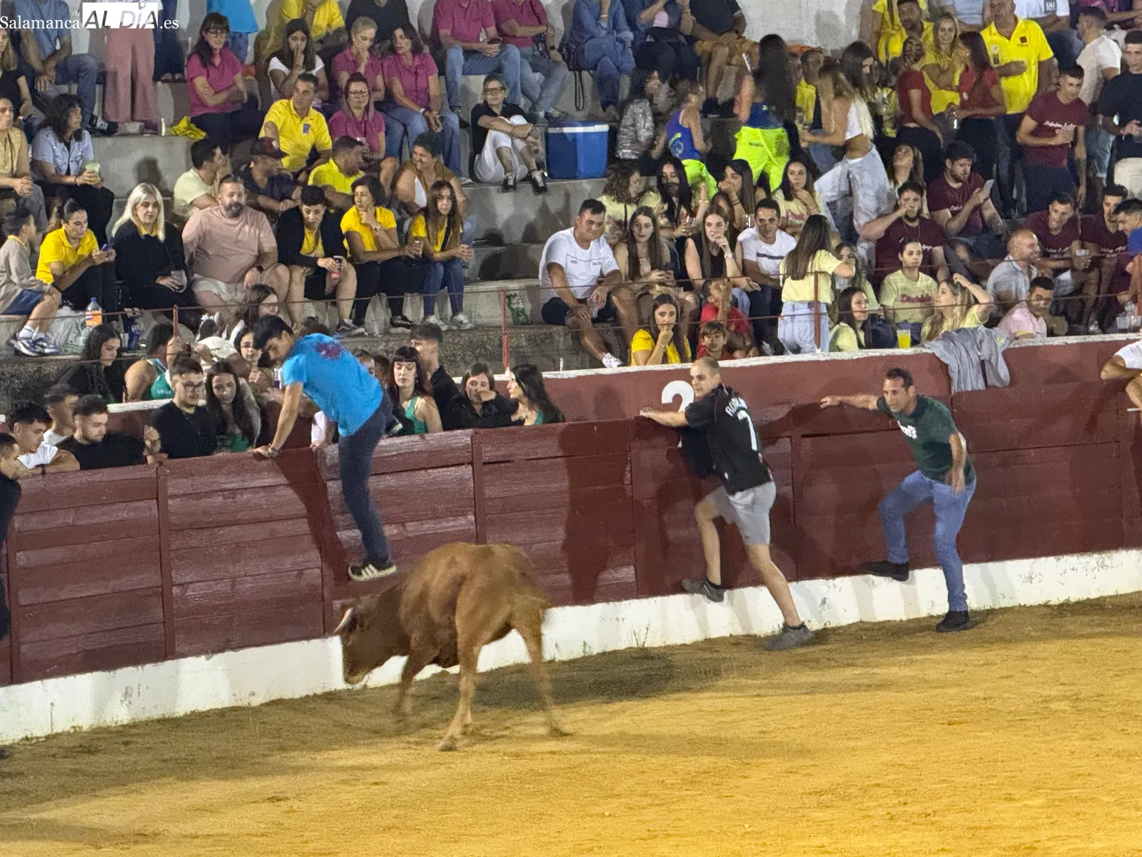 Foto 7 - Villoria inaugura sus fiestas con cortes, quiebros, saltos y una animada capea