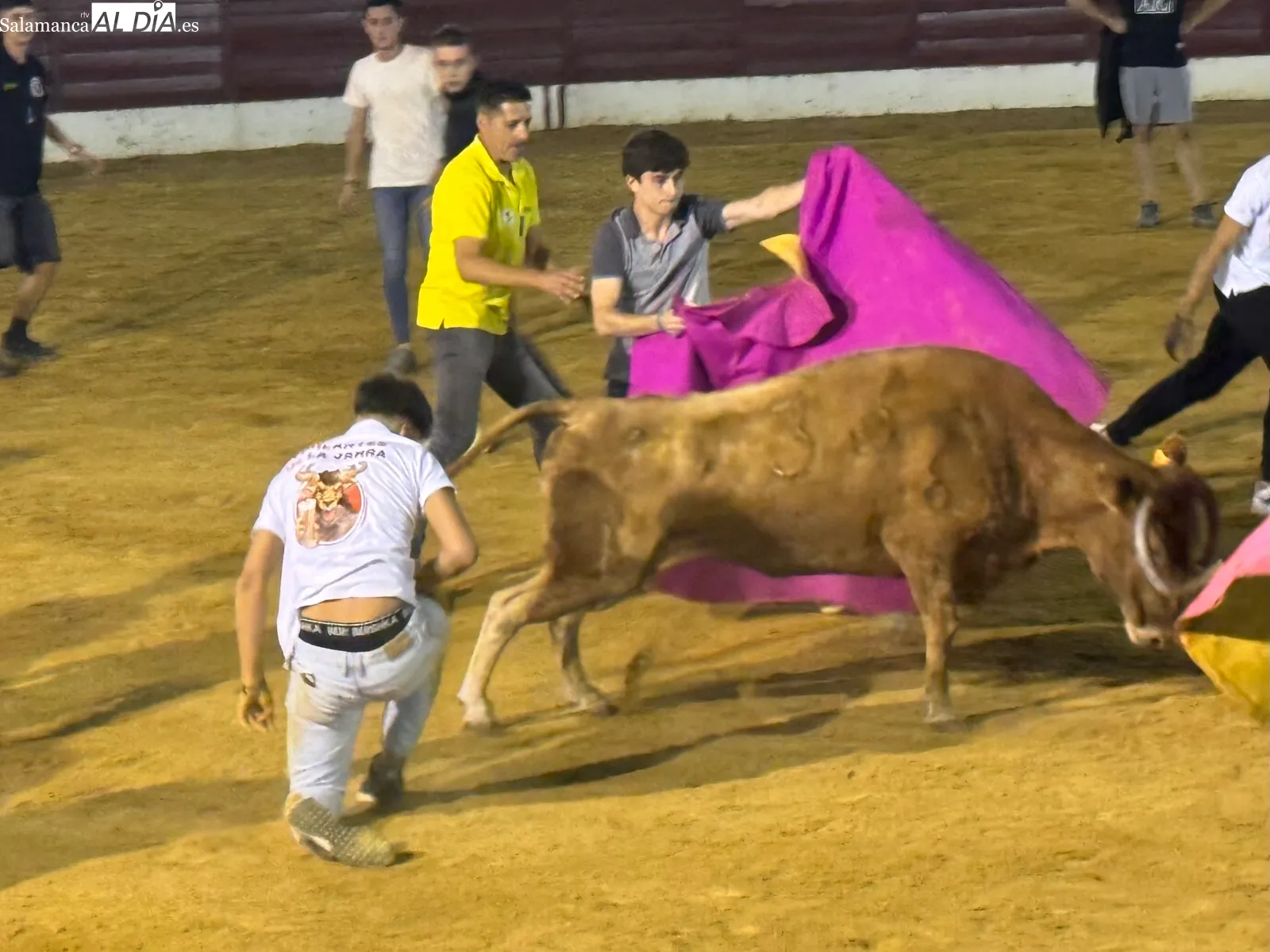 Foto 4 - Villoria inaugura sus fiestas con cortes, quiebros, saltos y una animada capea
