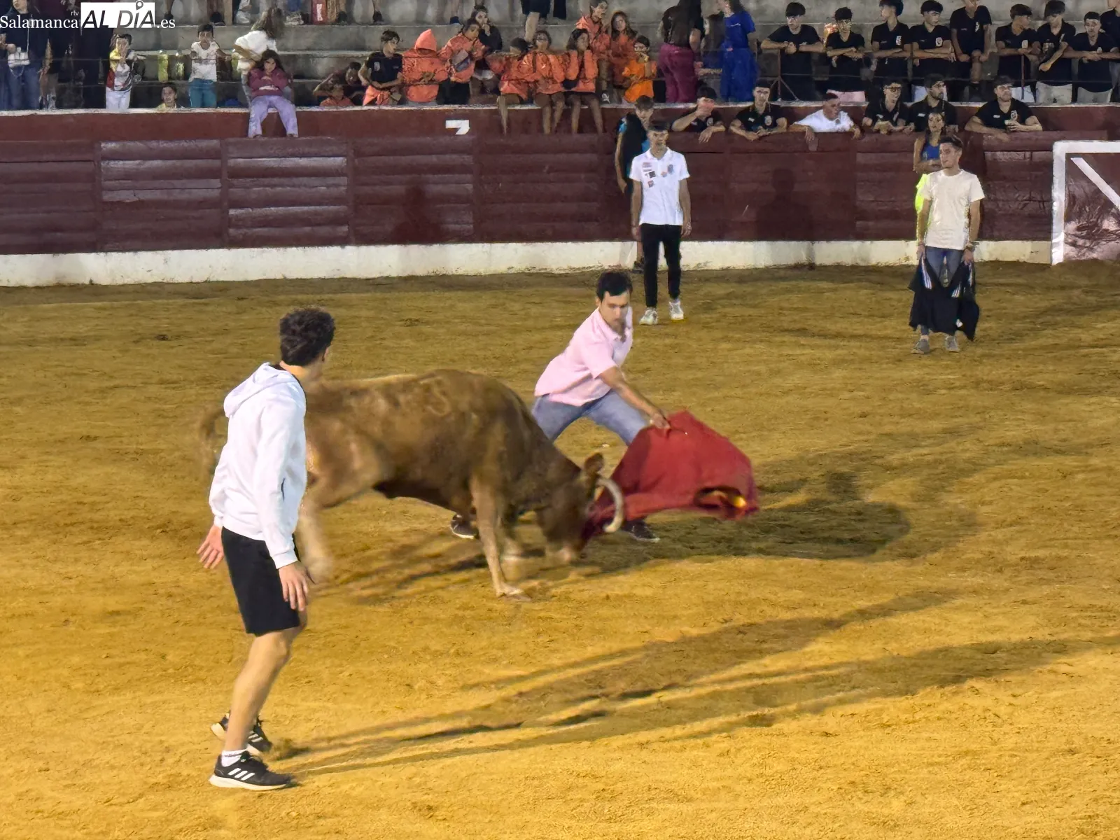 Foto 3 - Villoria inaugura sus fiestas con cortes, quiebros, saltos y una animada capea