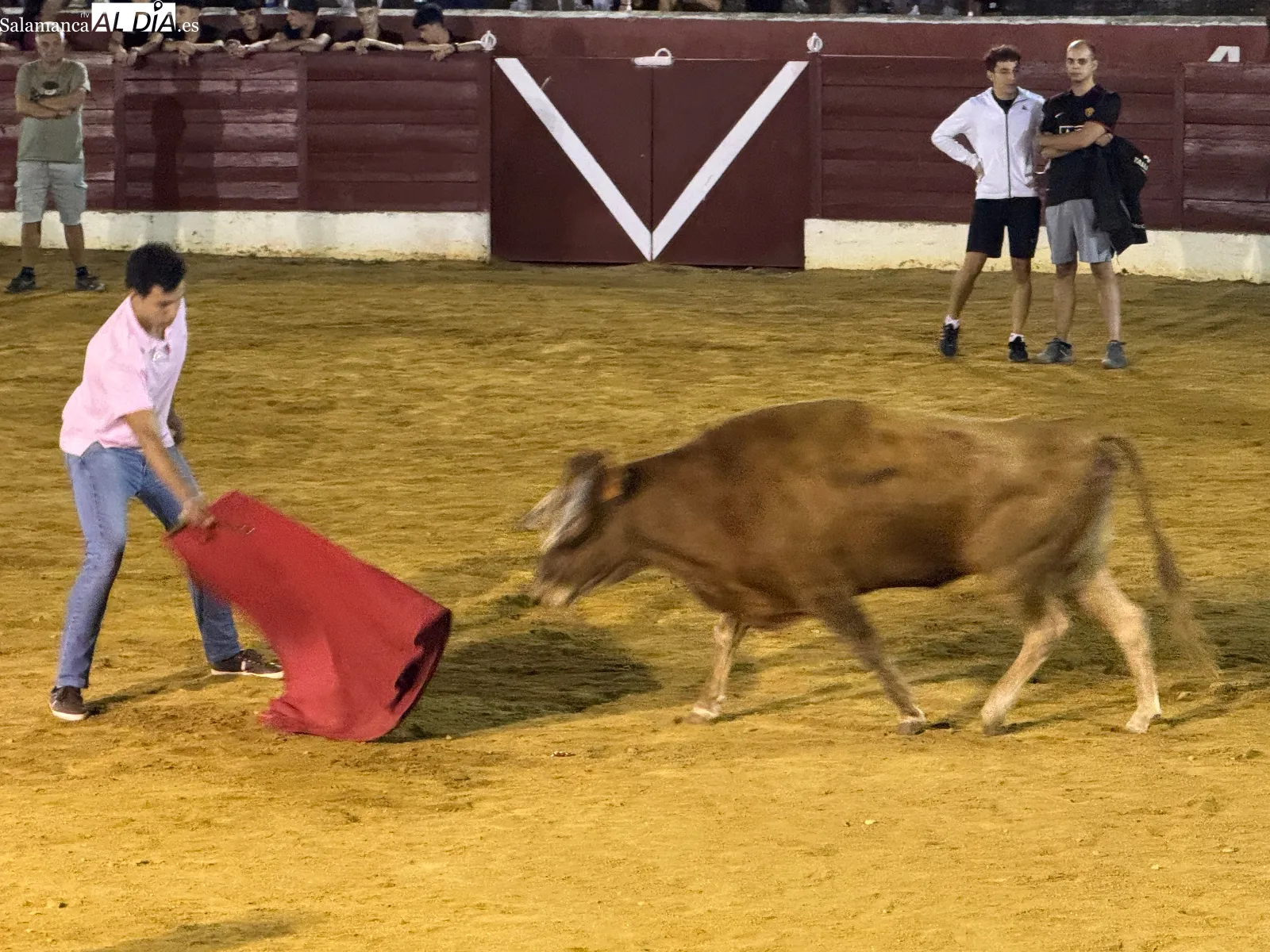 Foto 2 - Villoria inaugura sus fiestas con cortes, quiebros, saltos y una animada capea