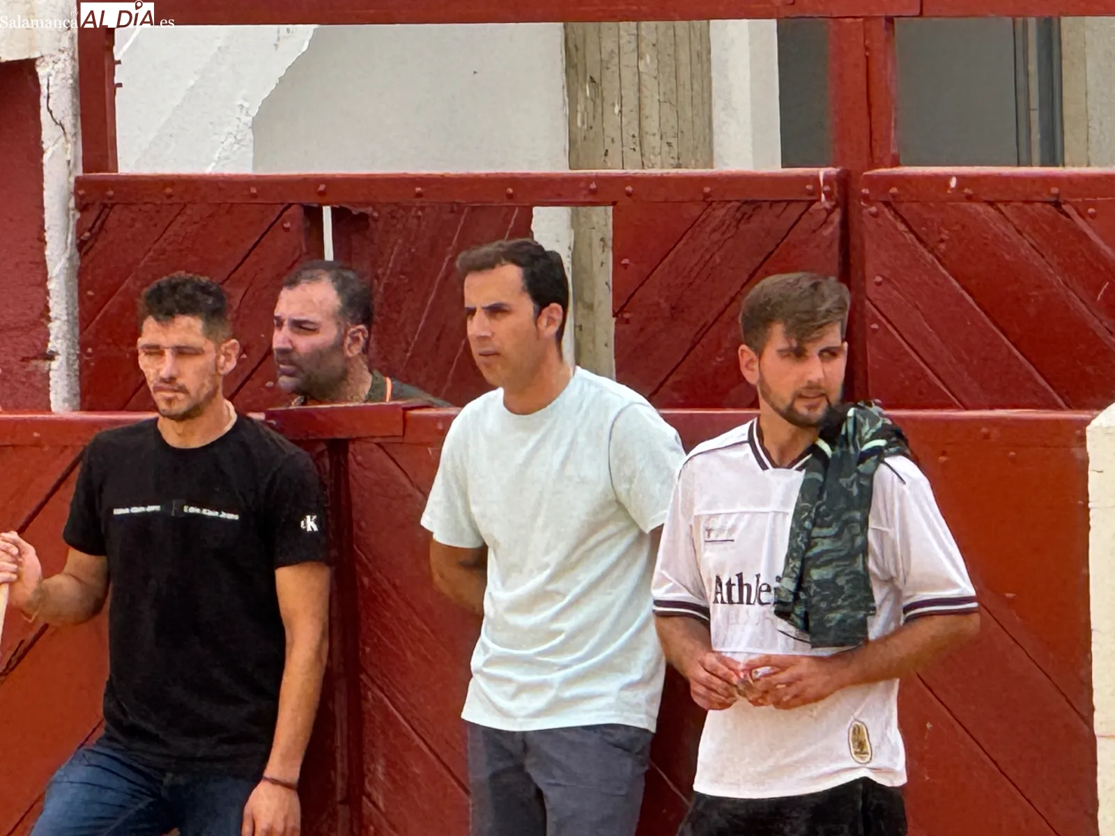 Foto 9 - El IV Toro Virgen de la Encina vuelve a reunir a multitud de aficionados en Macotera