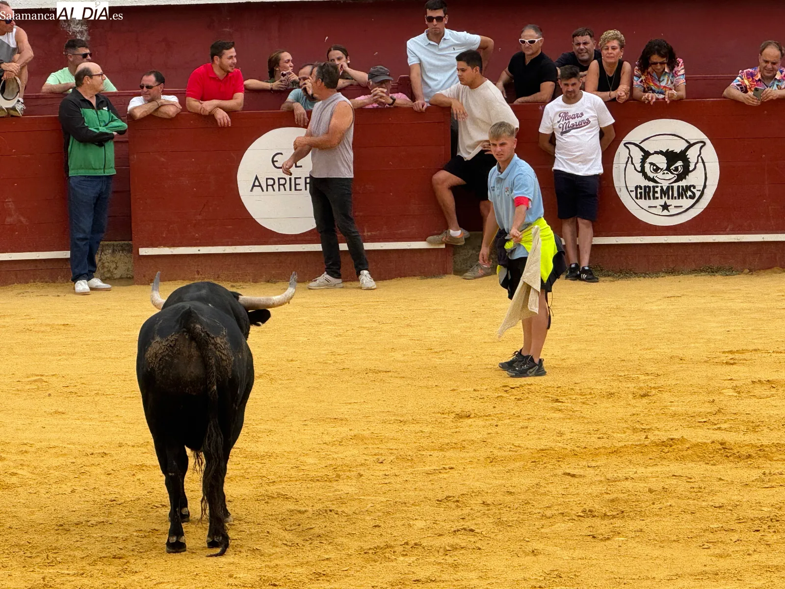 Foto 6 - El IV Toro Virgen de la Encina vuelve a reunir a multitud de aficionados en Macotera