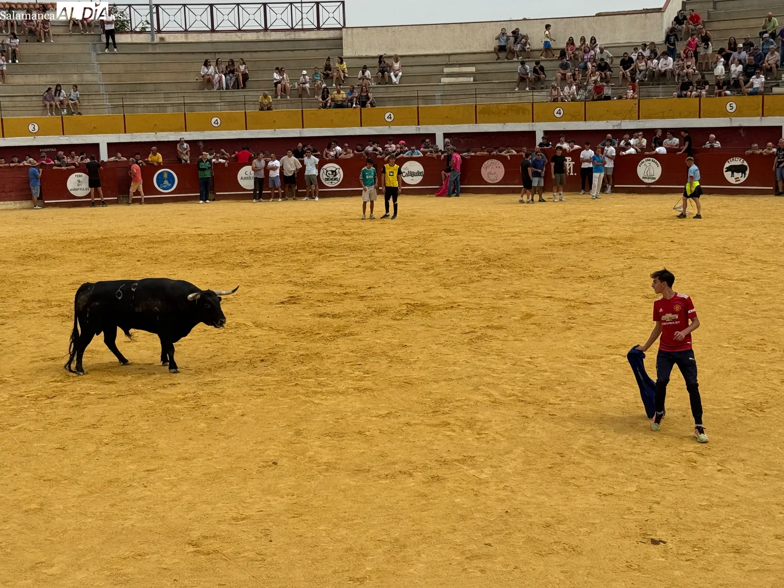 Foto 4 - El IV Toro Virgen de la Encina vuelve a reunir a multitud de aficionados en Macotera