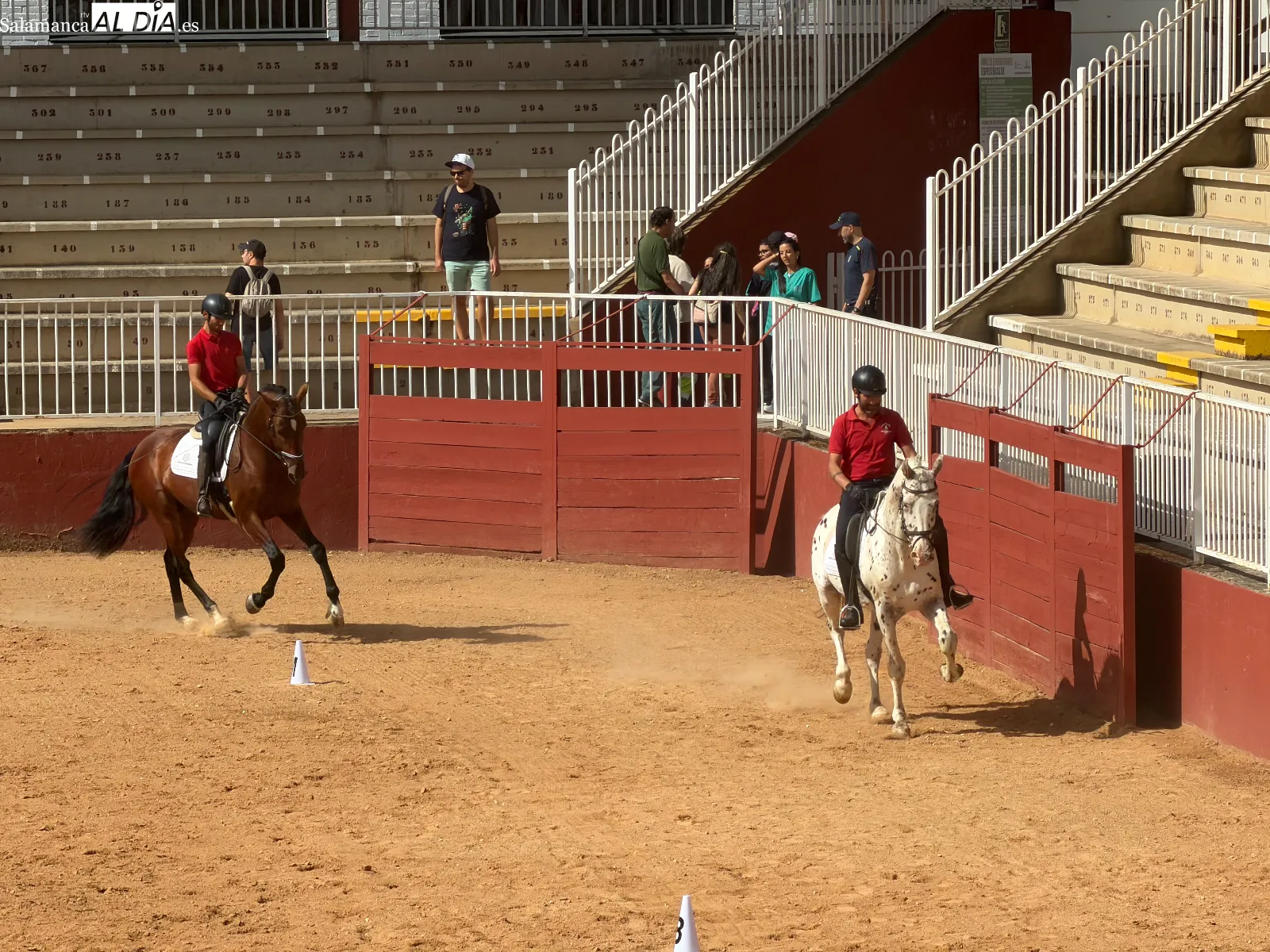 El arte del carrusel ecuestre en las exhibiciones de caballos de Pura Raza y Deporte Español | FOTOS: V.M.
