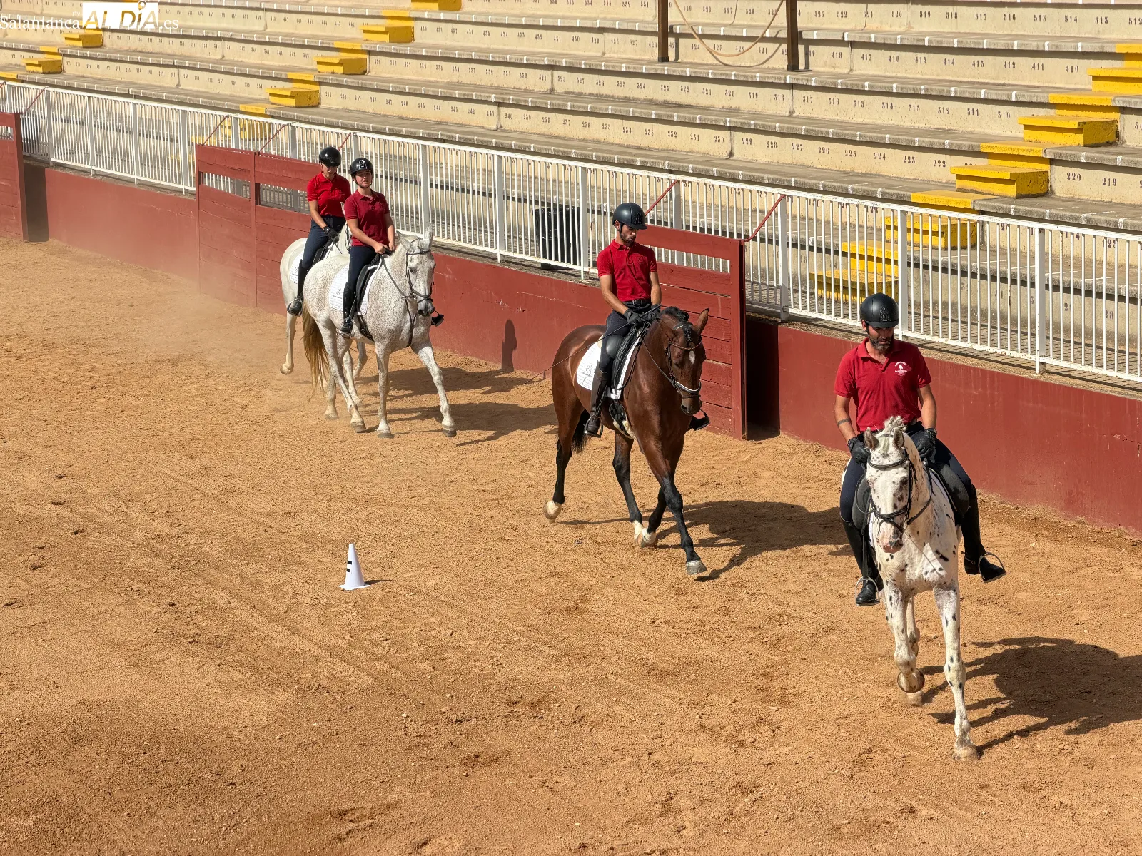 El arte del carrusel ecuestre en las exhibiciones de caballos de Pura Raza y Deporte Español | FOTOS: V.M.