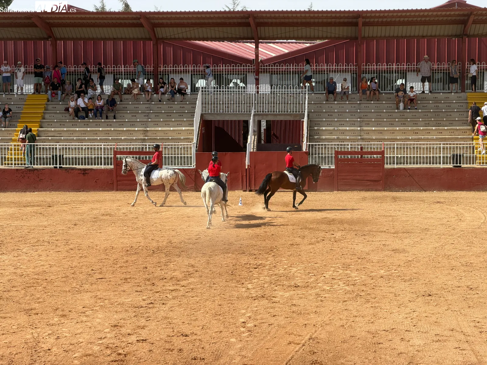 El arte del carrusel ecuestre en las exhibiciones de caballos de Pura Raza y Deporte Español | FOTOS: V.M.