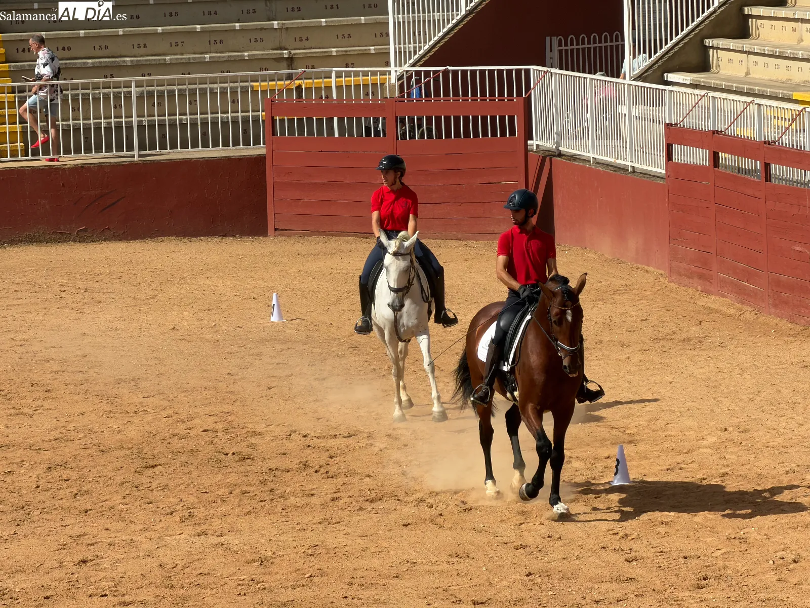 El arte del carrusel ecuestre en las exhibiciones de caballos de Pura Raza y Deporte Español | FOTOS: V.M.