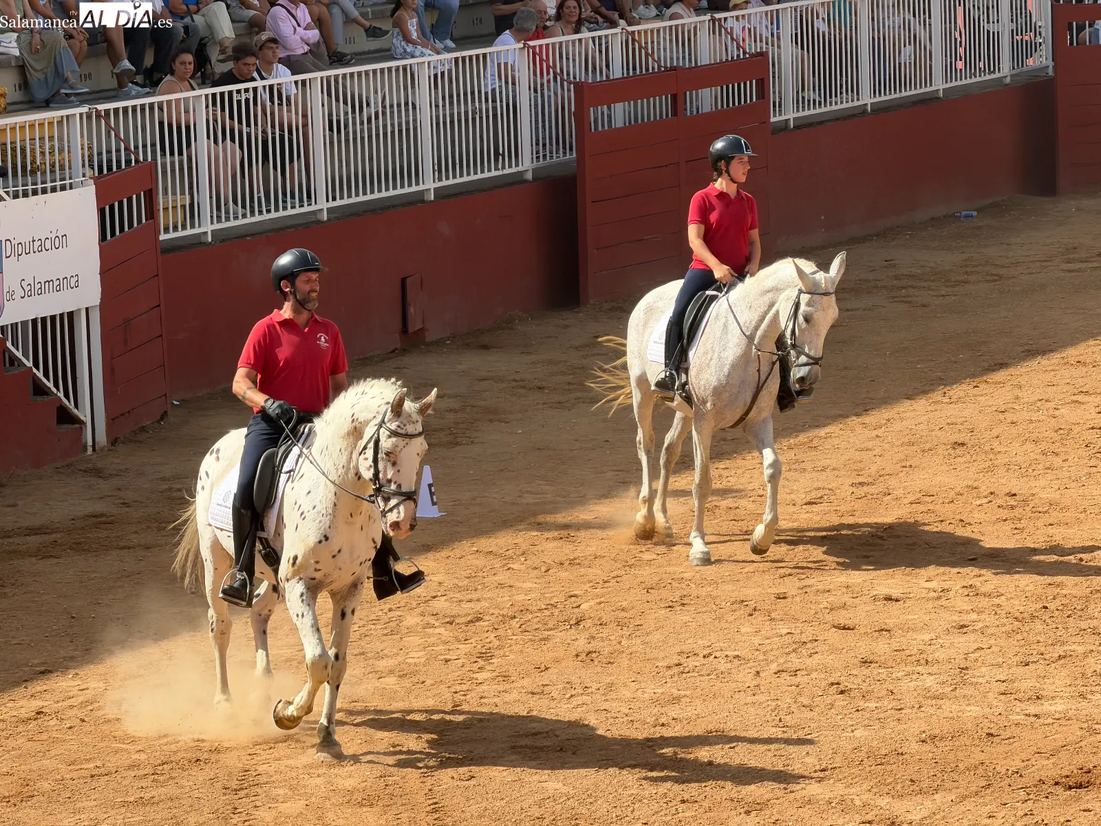 El arte del carrusel ecuestre en las exhibiciones de caballos de Pura Raza y Deporte Español | FOTOS: V.M.