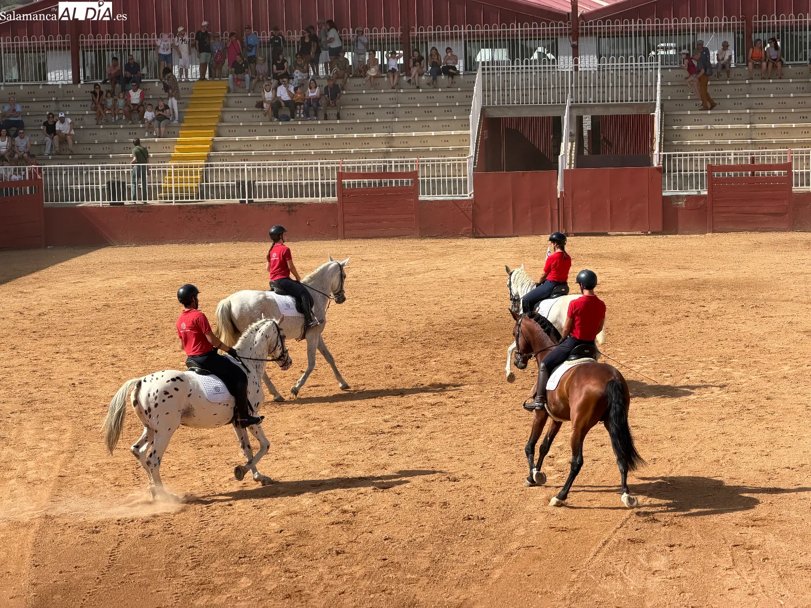 El arte del carrusel ecuestre en las exhibiciones de caballos de Pura Raza y Deporte Español | FOTOS: V.M.