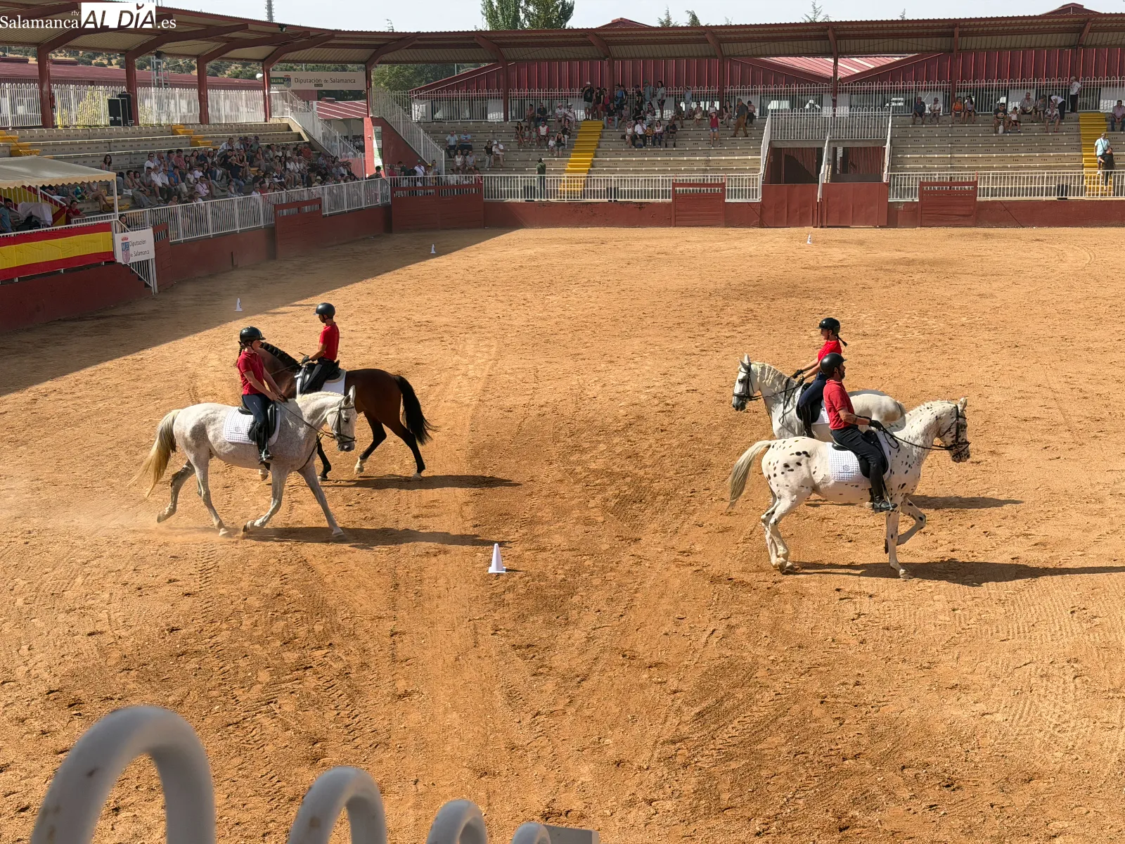 El arte del carrusel ecuestre en las exhibiciones de caballos de Pura Raza y Deporte Español | FOTOS: V.M.