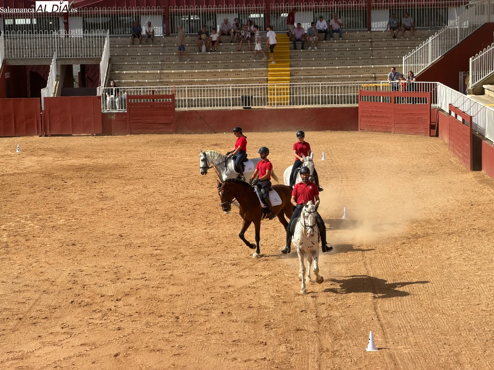 El arte del carrusel ecuestre en las exhibiciones de caballos de Pura Raza y Deporte Español | FOTOS: V.M.